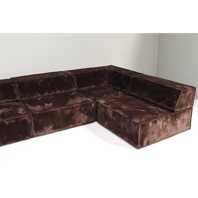Trio Sectional Sofa in Chocolate Brown Velvet with New Upholstery from Cor, 1972, Set of 10 For Sale - Image 14 of 18