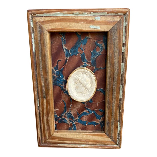 Classical Framed Grand Tour Intaglios in 1880s Pine Frame For Sale