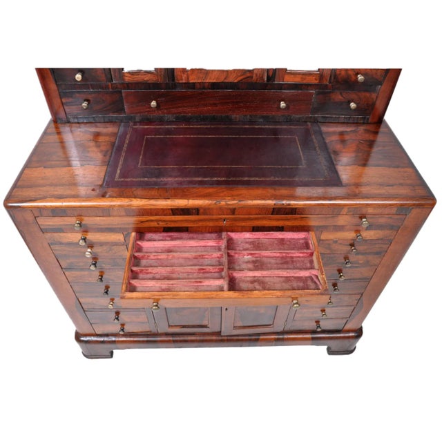 Antique American Empire Rosewood Dental / Medical Cabinet, circa 1820 For Sale - Image 9 of 11
