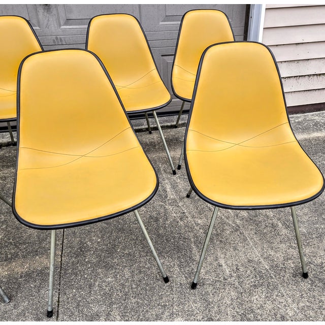 Black and Ochre Herman Miller Chairs- Set of 10 For Sale - Image 11 of 11