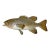 Vintage Handmade Eg Carved Wood Smallmouth Bass Wall Fish Mount Trophy Sculpture For Sale