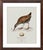 Not Yet Made - Made To Order William Lewin 1789 Waterbirds Fine Art Gallery Board Print - The Water Rail For Sale - Image 5 of 14