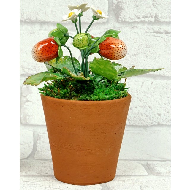French Country Porcelain Strawberry Plants by Didier Gardillou - Contemporain Period For Sale - Image 3 of 10