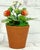 French Country Porcelain Strawberry Plants by Didier Gardillou - Contemporain Period For Sale - Image 3 of 10