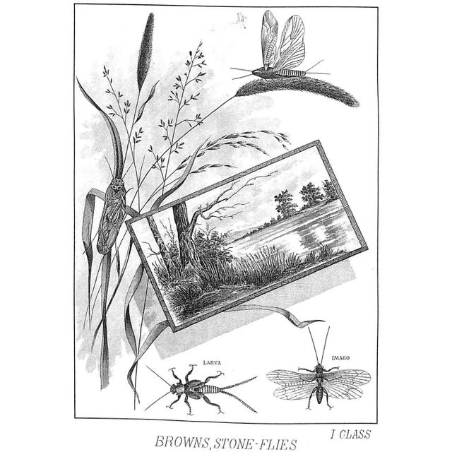 Traditional "Favorite Flies" 1892 Marbury, Mary Orvis For Sale - Image 3 of 18