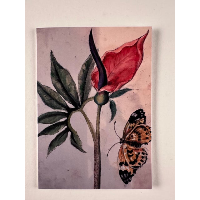 Drawing/Sketching Materials This Is a Set of 6 Botanical Folded Note Cards Printed From My Pastel Drawings of Plants and Flowers For Sale - Image 7 of 10