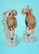 Great pair of antique parrots, very detailed hand painted porcelain. The parrot features intricate feathers pattern (often...