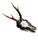 Cabin Roe Deer Trophy Ds26 Black Foret Antlers Mount For Sale - Image 3 of 5