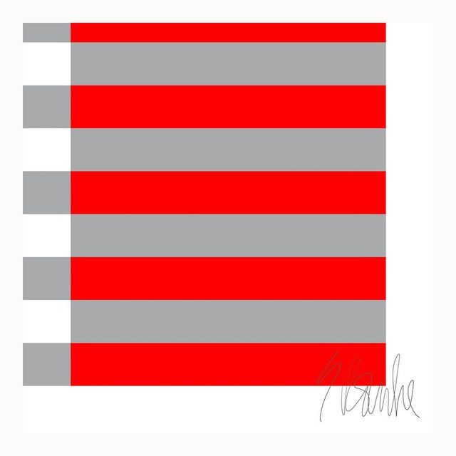 Not Yet Made - Made To Order Interweaving of Four Colors Fine Art Print 15 1/4" X 36 1/2" by Liz Roache For Sale - Image 5 of 6