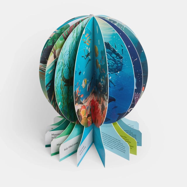 Our Underwater World a First Dive Into Oceans, Lakes, and Rivers Book For Sale - Image 9 of 9