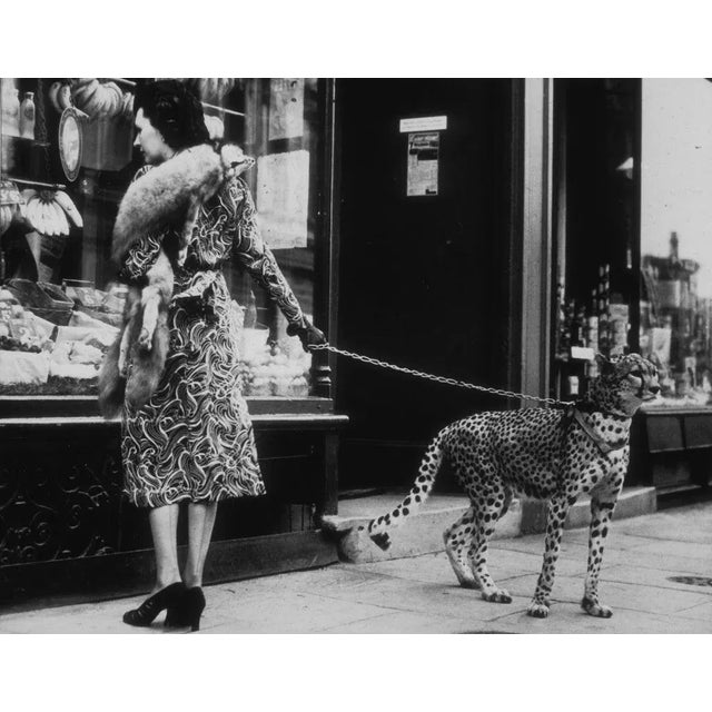 "Cheetah Who Shops" by B C Parade American silent film actress Phyllis Gordon (1889 - 1964) window-shopping in Earls...