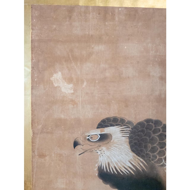 Tan 18th Century Japanese Edo Period Kano School Watercolor Painting of a Hawk For Sale - Image 8 of 15