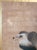 Tan 18th Century Japanese Edo Period Kano School Watercolor Painting of a Hawk For Sale - Image 8 of 15