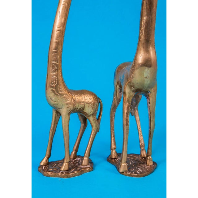 1970s Vintage 1970's Solid Brass Giraffes - a Pair For Sale - Image 5 of 10
