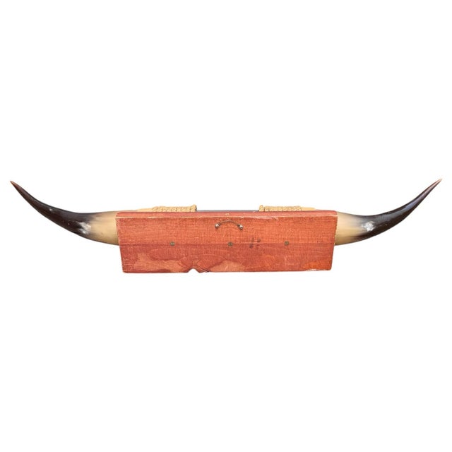 Tan Vintage Rustic Southwestern Ranch / Lodge Wall Mounted Steer Horns With Leather and Rope — 27” For Sale - Image 8 of 8