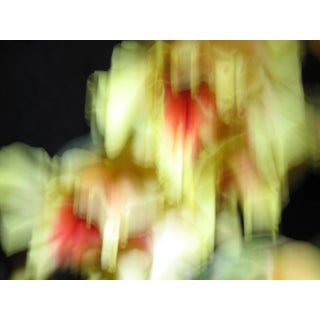 Contemporary Fine Art Photography Abstract Flower Print For Sale