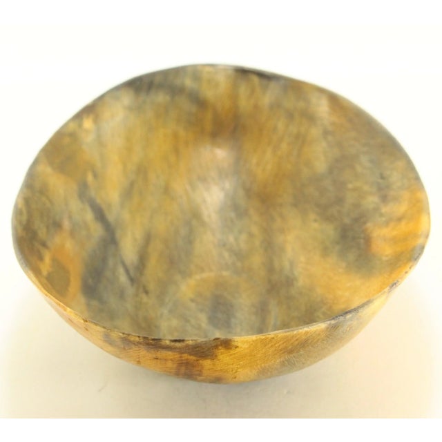 19th Century 19th Century Large Oval Cattle Horn Bowl For Sale - Image 5 of 12