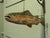 Metal Fish Trade Sign, 1960 For Sale - Image 7 of 8