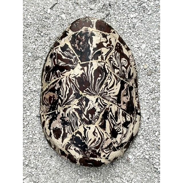 Vintage Boho Artisanal Pigmented Plaster Scagliola Turtle Shell For Sale - Image 9 of 12