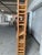 Modern Heart of Redwood 150 Bottle Wine Rack, 21st Century For Sale - Image 3 of 6