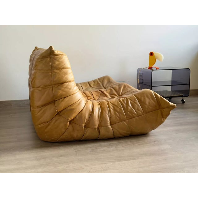 Togo 2-Seater Sofa Ligne Roset For Sale - Image 9 of 13