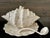 Vintage 1980s Ceramic Conch Shell Soup Tureen Signed by Artist With Lid, Ladle & Serving Plate For Sale - Image 4 of 11
