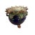 Antique Barbotine Majolica Rose Cachepot For Sale In Dallas - Image 6 of 7