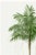 Paper Royal Palm Study, Vintage Botanical Art Print Reproduction, 24" X 36" For Sale - Image 7 of 10
