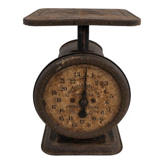 Early 20th Century Landers, Frary & Clark Family Scale For Sale