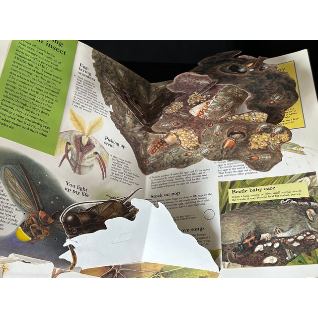 1990s Bug Pop Up Book For Sale - Image 5 of 8