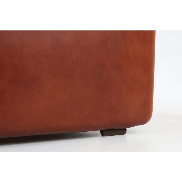Brown Leather Coronado 2-Seater Sofa by Tobia Scarpa for B&B Italia, Italy, 1960s For Sale - Image 9 of 18