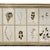 18th Century Swedish Framed Botanical Collection For Sale In New Orleans - Image 6 of 7
