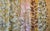 October Garden, Diptych by Hunter Hogan For Sale