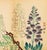 Japanese School Botanical Woodblock Prints, 3 For Sale - Image 14 of 17