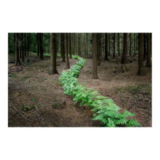 Ellie Davies, Knit One, Pearl One 7, 2011, Photograph For Sale