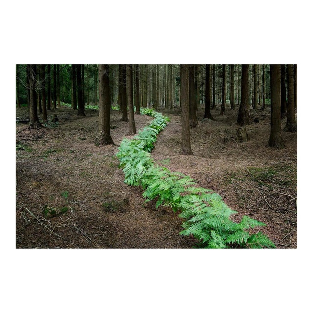 Ellie Davies, Knit One, Pearl One 7, 2011, Photograph For Sale
