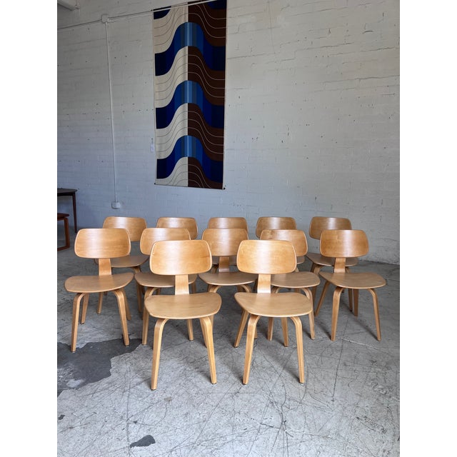 Mid-Century Modern Mid Century Modern Bentwood Chairs by Bruno Weil for Thonet - 12 Available For Sale - Image 3 of 7
