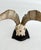 Wood German Steinbok Wild Goat Horns For Sale - Image 7 of 8