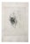 Hans Bellmer, Faces, 20th Century, Etching For Sale