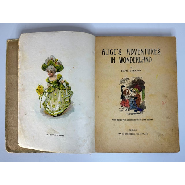 19th Century Antique Alice in Wonderland Book: Illustrated 1800s Edition For Sale - Image 5 of 10