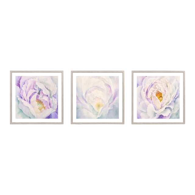 Atelier Aria Lumae Peony Symphony Aquarelle Fine Art Cotton Rag Panels Set of 3 For Sale