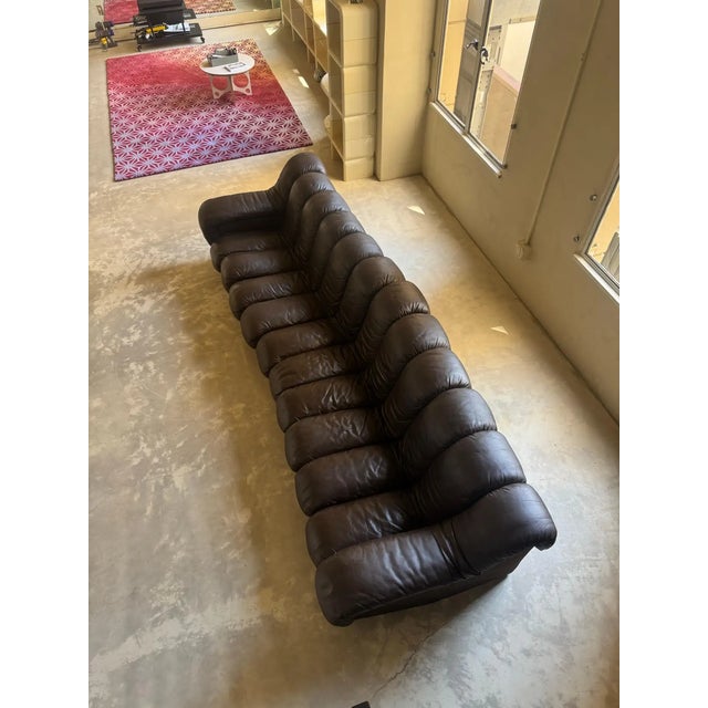 Mid-Century Modern Attributed De Sede Ds600 Brown Leather Non-Stop Snake Sofa, 1970s For Sale - Image 3 of 6