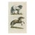 Antique Natural History Hand-Colored Engraving – Horses, Tab. II-1750' For Sale