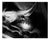 Ugne Pouwell, Fern No. 3, 2026, Analogue Botanical Photograph For Sale