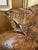 1950s Vintage 1950s Indonesian Hand-Carved Teak Angelfish Sculpture – 19.5" For Sale - Image 5 of 12