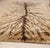 Jungla Series Hand-Knotted Rug by Giuseppe Ajmone for Pugi-Italia, 1960s For Sale - Image 12 of 15