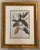 Pair of Magnolia Botanical Framed Prints based on the work of Georg Dionysius Ehret (1708-1770) from Christoph Jakob...