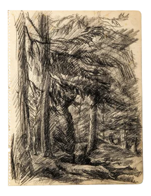 Wood - Original Charcoal Drawing by Jean Chapin - Early 1900 Early 1900
