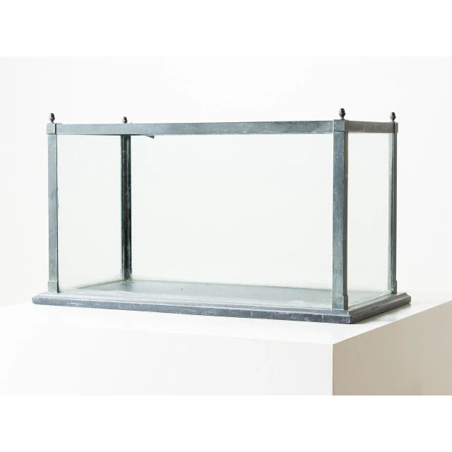 1900 - 1909 Antique French Terrarium For Sale - Image 5 of 5