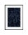 Stuart Möller, Dark Fern, 2020, Colour Photograph For Sale